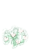 054