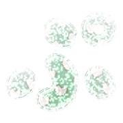 078