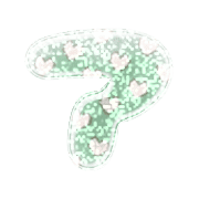081