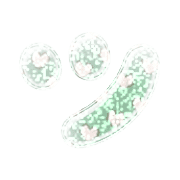 098