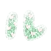 121