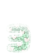 135