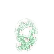 194