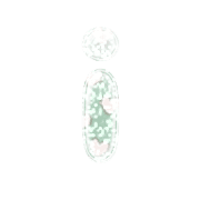 196