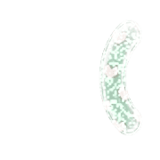 234