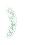 235