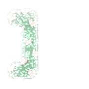 241