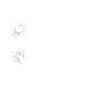 244