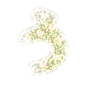 003
