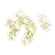006