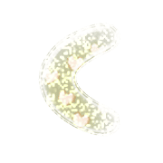 008