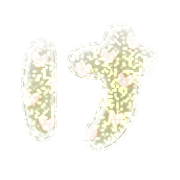009