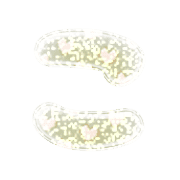 010