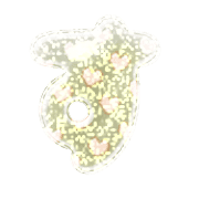 013