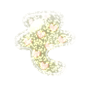 015