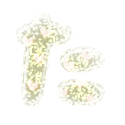 016