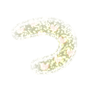 018