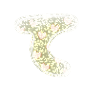 019
