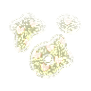 021
