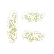 022