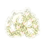 023