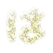 026
