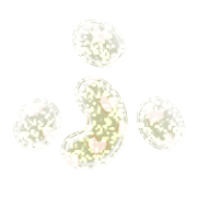 028