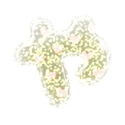 036