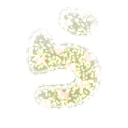 039