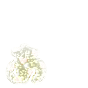 047