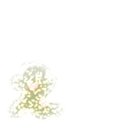 050