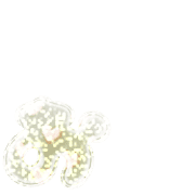 051
