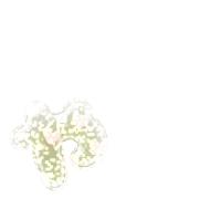 053