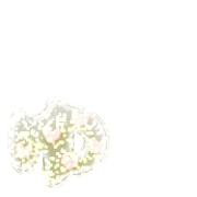 054