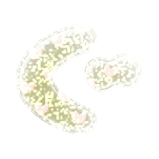 058