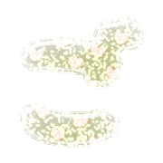 060