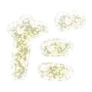 066
