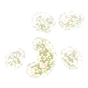 073
