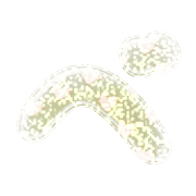 074