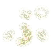 078