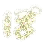 080