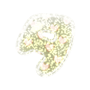 096