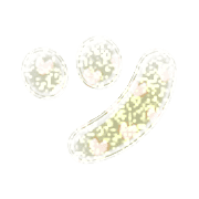 098