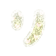 120