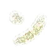 126