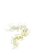 127