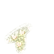 128