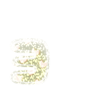 135