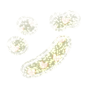142
