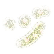 148